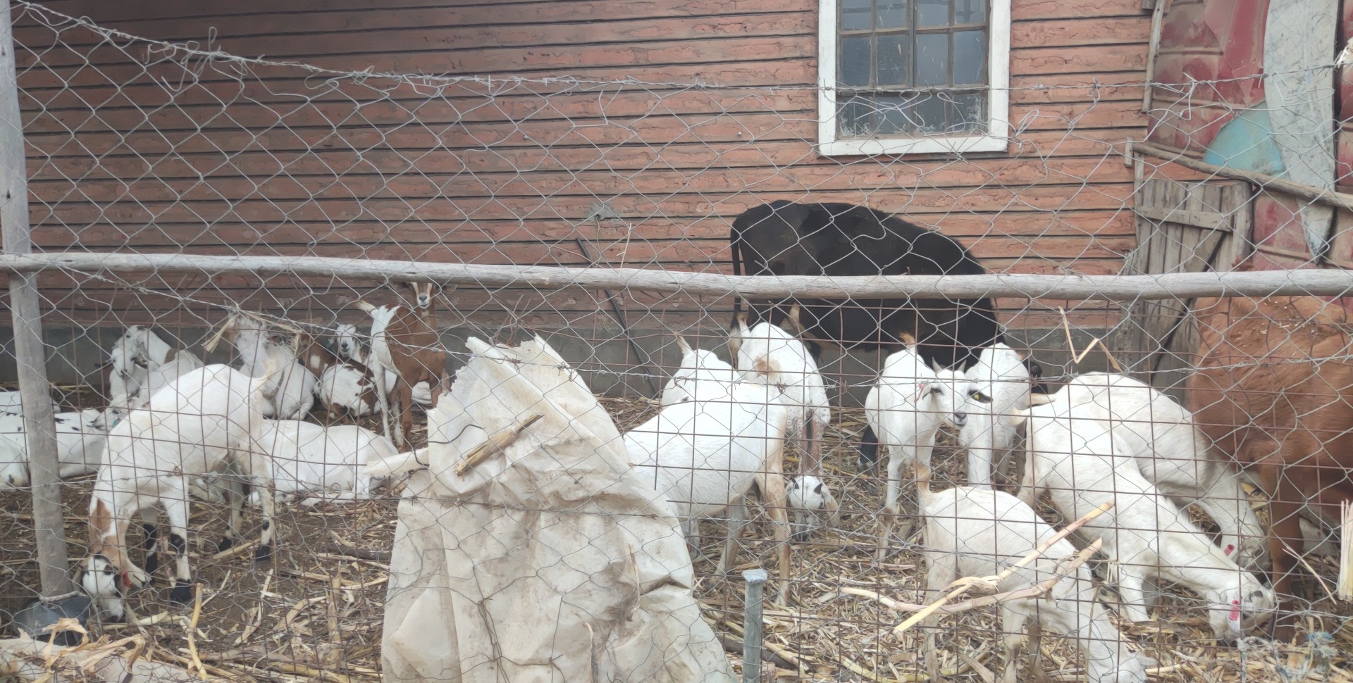 Economic Empowerment